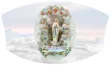 DNSWILL 111 Lady of Rosary (English)